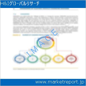 市場と産業調査レポートのイメージ